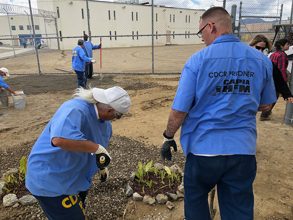 Avenal State Prison garden